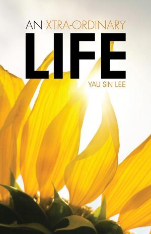 Cover of the book An Xtra-Ordinary Life by Jasemin Sibo Sîbâo