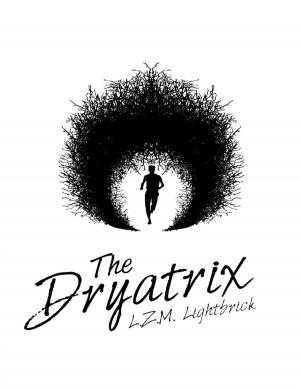Cover of the book The Dryatrix by Nate Robinson, Jon Finkel