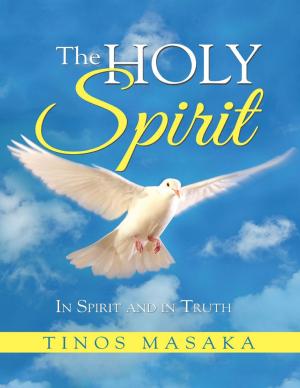 Cover of the book The Holy Spirit: In Spirit and In Truth by Erika Banerji