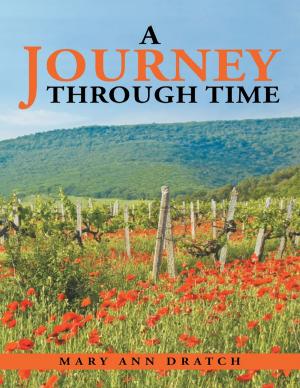 Cover of the book A Journey Through Time by C. A. Cooper