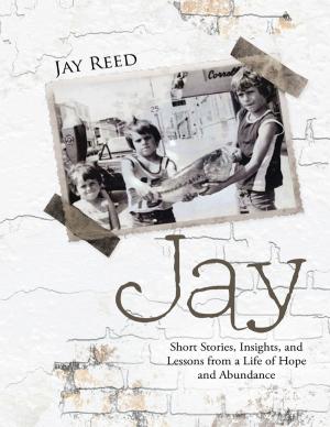 Cover of the book Jay: Short Stories, Insights, and Lessons from a Life of Hope and Abundance by Robert Mark Schaeberle, Jeanne Schaeberle