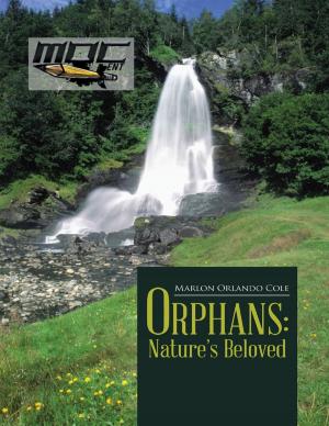 Cover of the book Orphans: Nature's Beloved by Audrey E. Ellenwood Ph.D., Lars Brok M.D.