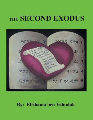 Cover of the book The Second Exodus by L.L. Conrad