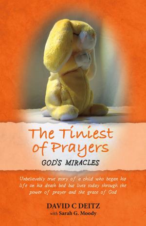 Book cover of The Tiniest of Prayers