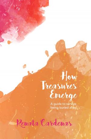 Cover of the book How Treasures Emerge by JC Riles