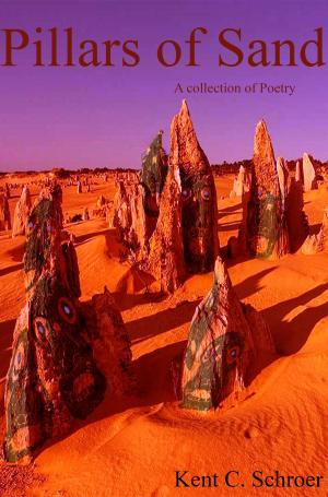 Cover of the book Pillars of Sand by Travis Steele Nevels