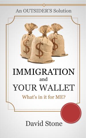 Cover of the book Immigration and Your Wallet by Tunde Sule