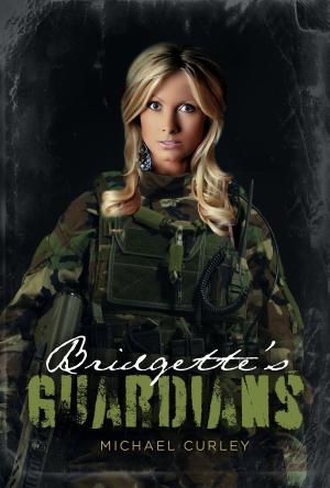 Cover of the book Bridgette's Guardians by Jason Hubbard