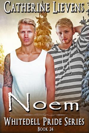 Cover of the book Noem by Jess Hayek