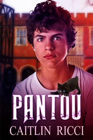 Cover of the book Pantou by AJ Matthews