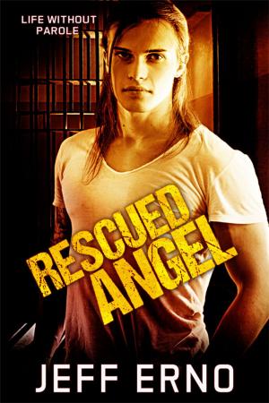 Cover of the book Rescued Angel by Derek Adams