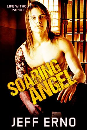 Cover of the book Soaring Angel by Charlie Richards