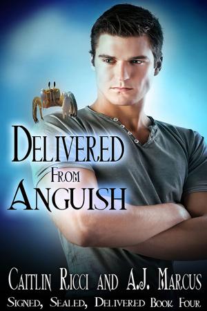 Cover of the book Delivered from Anguish by Stefan Ellery