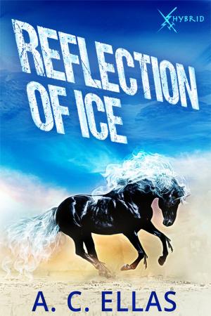 Cover of the book Reflection of Ice by Keiko Alvarez