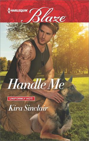 Cover of the book Handle Me by Joanna Wayne