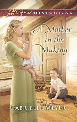 Cover of the book A Mother in the Making by Susan Amarillas