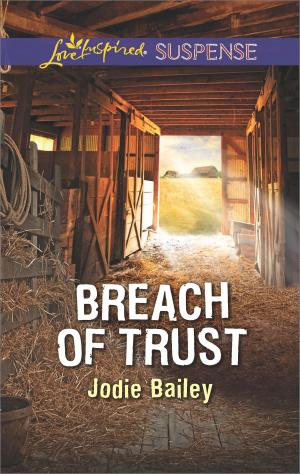 Cover of the book Breach of Trust by Katie McGarry