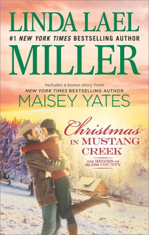 Book cover of Christmas in Mustang Creek