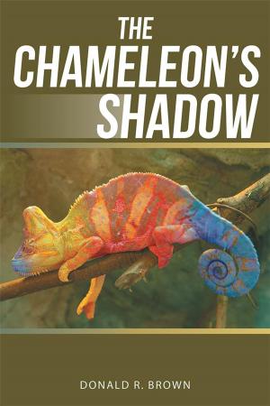 Cover of the book The Chameleon’S Shadow by shirley binkley