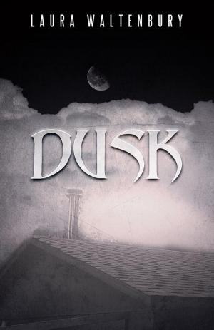 Cover of the book Dusk by Ross Clayton