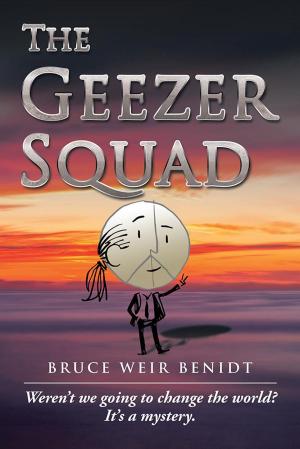Cover of the book The Geezer Squad by Martin Price