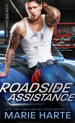 Cover of the book Roadside Assistance by Gillian Bradshaw