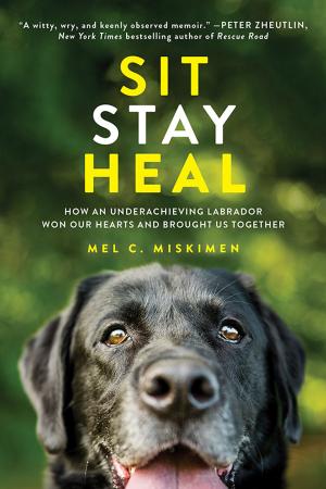 Cover of the book Sit Stay Heal by Jonathan Danilowitz