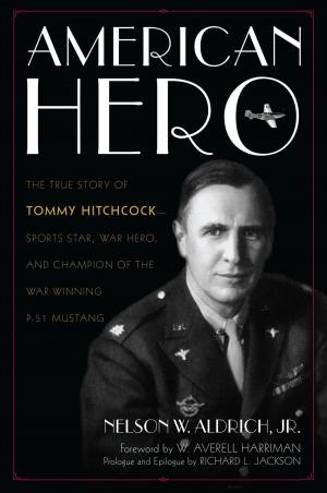 Cover of the book American Hero by Stephen Martin Kohn