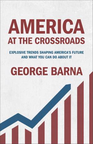Book cover of America at the Crossroads