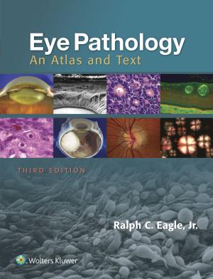 Cover of the book Eye Pathology by Andrea M. Kline, Catherine Haut