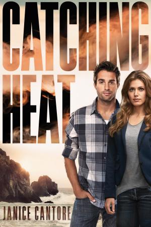 Cover of the book Catching Heat by Jerry B. Jenkins, Chris Fabry