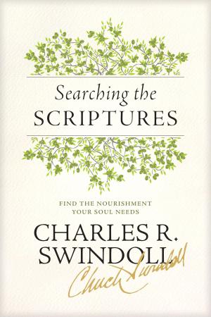 Cover of the book Searching the Scriptures by Randy Singer