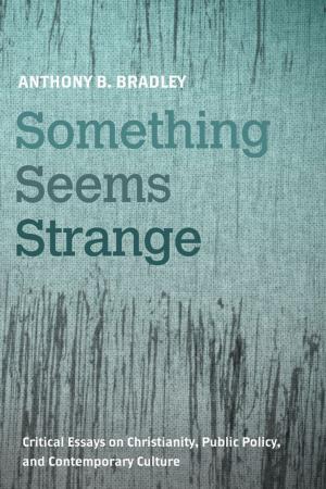 Cover of the book Something Seems Strange by Richard A. Horsley