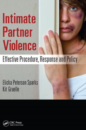 Book cover of Intimate Partner Violence