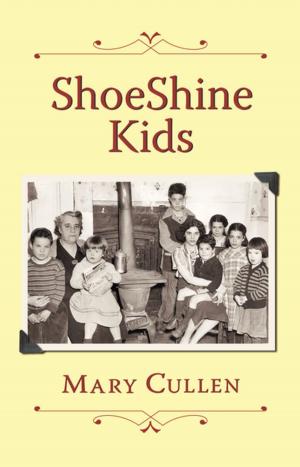 Book cover of ShoeShine Kids