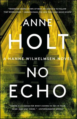 Cover of the book No Echo by Fiona Buckley