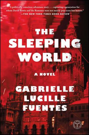 Cover of the book The Sleeping World by Liz Balmaseda