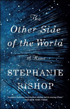 Cover of the book The Other Side of the World by Christine Carbo