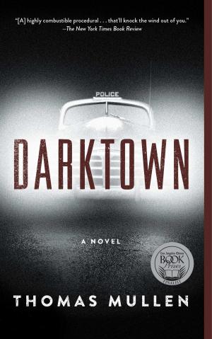 Cover of the book Darktown by Ann Richards
