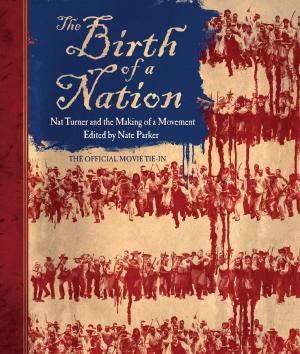 Cover of the book The Birth of a Nation by Lolita Files