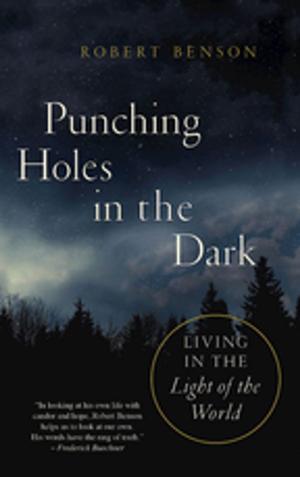 Cover of the book Punching Holes in the Dark by Hannah Adair Bonner