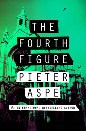 Cover of the book The Fourth Figure by Zilpha Keatley Snyder
