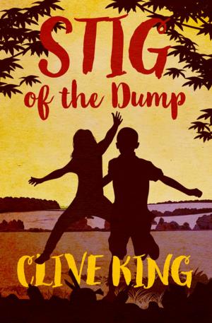 Cover of the book Stig of the Dump by Luke Short