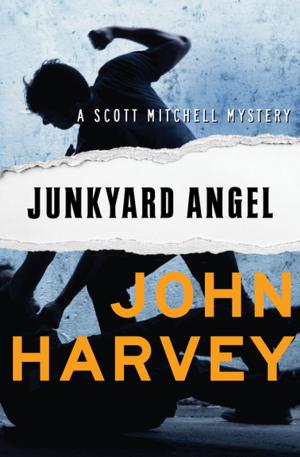 Cover of the book Junkyard Angel by Dave Galanter