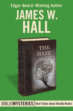 Cover of the book The Haze by Oliver Strong