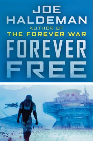 Cover of the book Forever Free by Dorothy Salisbury Davis