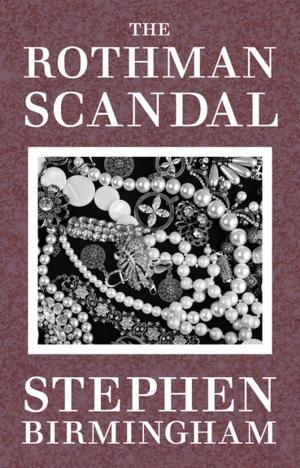 Cover of the book The Rothman Scandal by Donald Stanwood