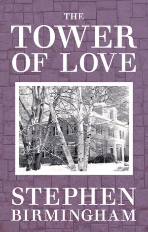 Cover of the book The Towers of Love by Karen Fredette
