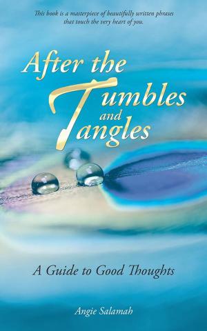 Cover of the book After the Tumbles and Tangles by Carl Welte