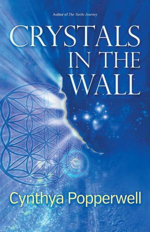 Book cover of Crystals in the Wall